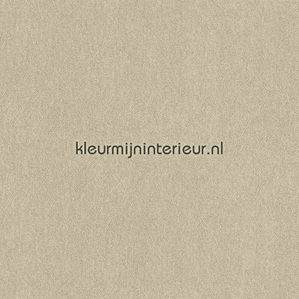 BN Wallcoverings  46888 | Bestellen bij https://www.kleurmijninterieur.nl/
