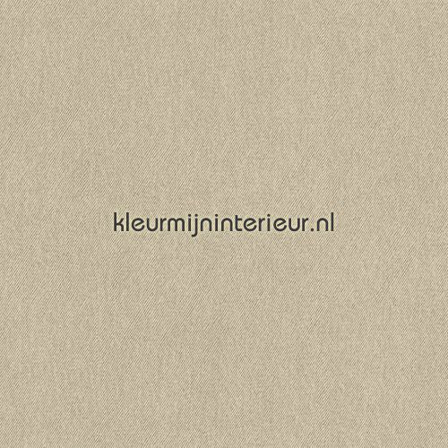 BN Wallcoverings  46888 | Bestellen bij https://www.kleurmijninterieur.nl/