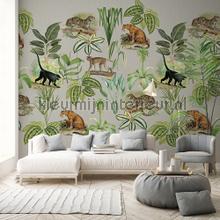 Behang Expresse select.d TD4114 | Bestellen bij https://www.kleurmijninterieur.nl/