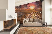 Behang Expresse Circle of Life TD4171 | Bestellen bij https://www.kleurmijninterieur.nl/