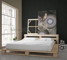 Behang Expresse Circle of Life TD4193 | Bestellen bij https://www.kleurmijninterieur.nl/