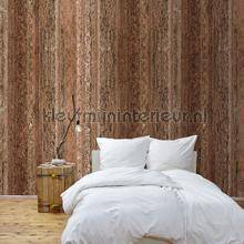 Behang Expresse Circle of Life TD4196 | Bestellen bij https://www.kleurmijninterieur.nl/
