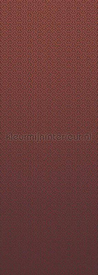 Behang Expresse Circle of Life TD4197 | Bestellen bij https://www.kleurmijninterieur.nl/
