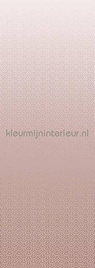 Behang Expresse Circle of Life TD4198 | Bestellen bij https://www.kleurmijninterieur.nl/
