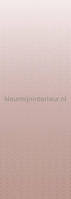 Behang Expresse Circle of Life TD4198 | Bestellen bij https://www.kleurmijninterieur.nl/