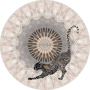 Behang Expresse Circle of Life TD4207 zelfklevend | Bestellen bij https://www.kleurmijninterieur.nl/