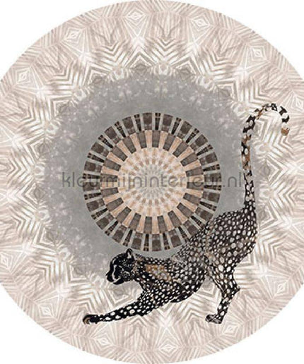 Behang Expresse Circle of Life TD4207 zelfklevend | Bestellen bij https://www.kleurmijninterieur.nl/