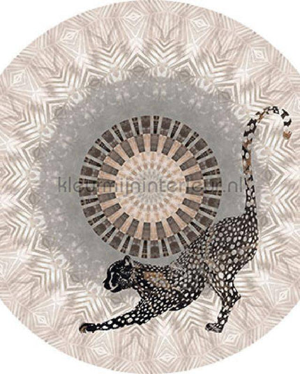 Behang Expresse Circle of Life TD4207 zelfklevend | Bestellen bij https://www.kleurmijninterieur.nl/