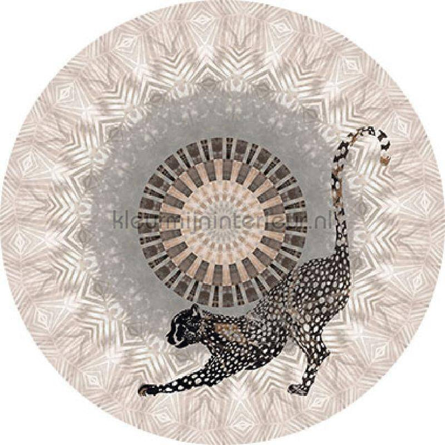 Behang Expresse Circle of Life TD4207 zelfklevend | Bestellen bij https://www.kleurmijninterieur.nl/