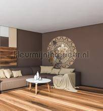 Behang Expresse Circle of Life TD4212 zelfklevend | Bestellen bij https://www.kleurmijninterieur.nl/