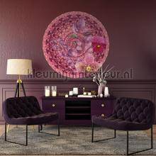 Behang Expresse Circle of Life TD4216 zelfklevend | Bestellen bij https://www.kleurmijninterieur.nl/