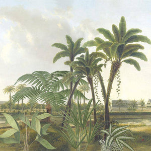 Behang Expresse Treasures of Nature TD4251 | Bestellen bij https://www.kleurmijninterieur.nl/