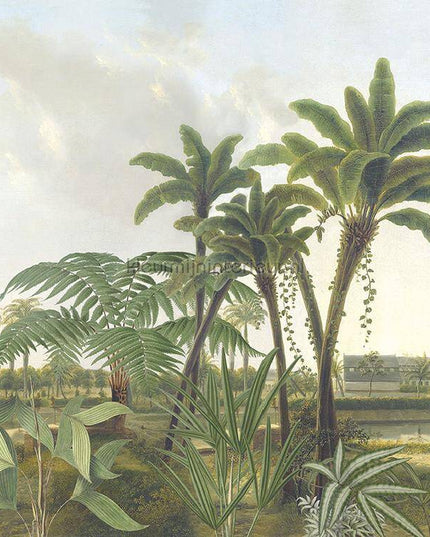 Behang Expresse Treasures of Nature TD4251 | Bestellen bij https://www.kleurmijninterieur.nl/