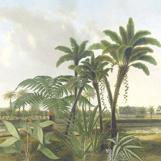 Behang Expresse Treasures of Nature TD4251 | Bestellen bij https://www.kleurmijninterieur.nl/
