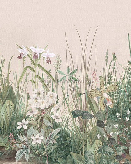 Behang Expresse Treasures of Nature TD4252 | Bestellen bij https://www.kleurmijninterieur.nl/