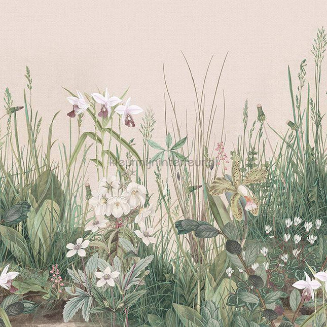 Behang Expresse Treasures of Nature TD4252 | Bestellen bij https://www.kleurmijninterieur.nl/