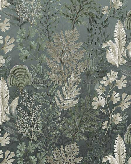 Behang Expresse Treasures of Nature TD4255 | Bestellen bij https://www.kleurmijninterieur.nl/