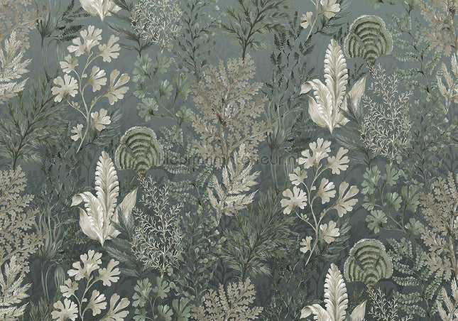 Behang Expresse Treasures of Nature TD4255 | Bestellen bij https://www.kleurmijninterieur.nl/