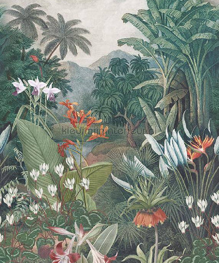Behang Expresse Treasures of Nature TD4258 | Bestellen bij https://www.kleurmijninterieur.nl/