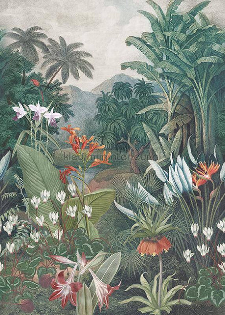 Behang Expresse Treasures of Nature TD4258 | Bestellen bij https://www.kleurmijninterieur.nl/