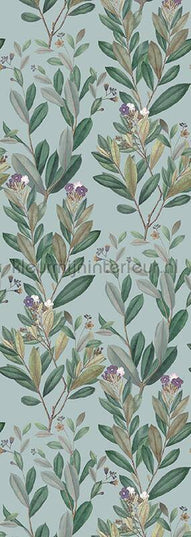 Behang Expresse Treasures of Nature TD4260 | Bestellen bij https://www.kleurmijninterieur.nl/