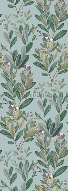 Behang Expresse Treasures of Nature TD4260 | Bestellen bij https://www.kleurmijninterieur.nl/