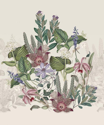 Behang Expresse Treasures of Nature TD4266 | Bestellen bij https://www.kleurmijninterieur.nl/