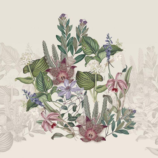 Behang Expresse Treasures of Nature TD4266 | Bestellen bij https://www.kleurmijninterieur.nl/