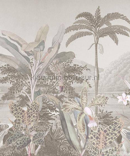 Behang Expresse Treasures of Nature TD4267 | Bestellen bij https://www.kleurmijninterieur.nl/