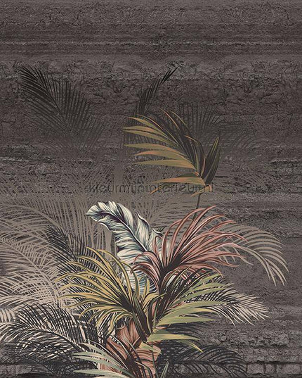 Behang Expresse Treasures of Nature TD4275 | Bestellen bij https://www.kleurmijninterieur.nl/