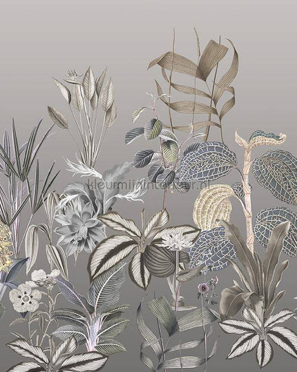 Behang Expresse Treasures of Nature TD4277 | Bestellen bij https://www.kleurmijninterieur.nl/
