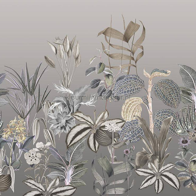 Behang Expresse Treasures of Nature TD4277 | Bestellen bij https://www.kleurmijninterieur.nl/