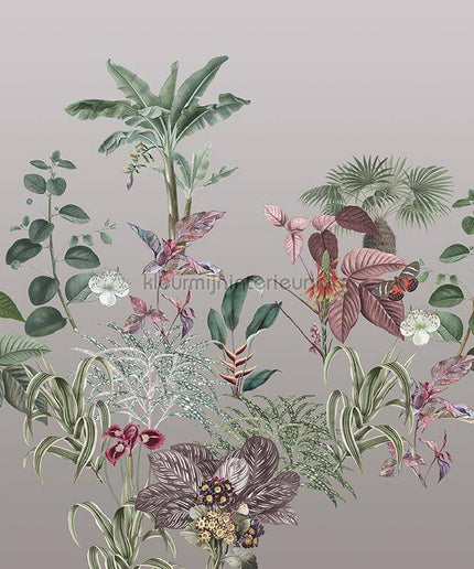 Behang Expresse Treasures of Nature TD4279 | Bestellen bij https://www.kleurmijninterieur.nl/