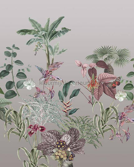 Behang Expresse Treasures of Nature TD4279 | Bestellen bij https://www.kleurmijninterieur.nl/