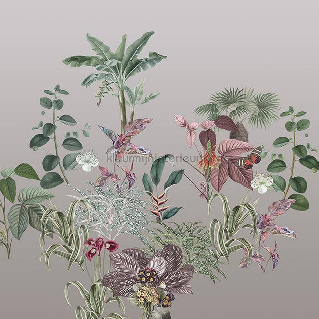 Behang Expresse Treasures of Nature TD4279 | Bestellen bij https://www.kleurmijninterieur.nl/