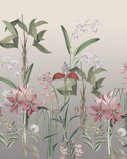 Behang Expresse Treasures of Nature TD4281 | Bestellen bij https://www.kleurmijninterieur.nl/