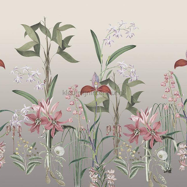 Behang Expresse Treasures of Nature TD4281 | Bestellen bij https://www.kleurmijninterieur.nl/