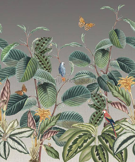 Behang Expresse Treasures of Nature TD4282 | Bestellen bij https://www.kleurmijninterieur.nl/