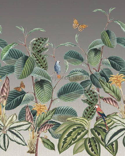 Behang Expresse Treasures of Nature TD4282 | Bestellen bij https://www.kleurmijninterieur.nl/