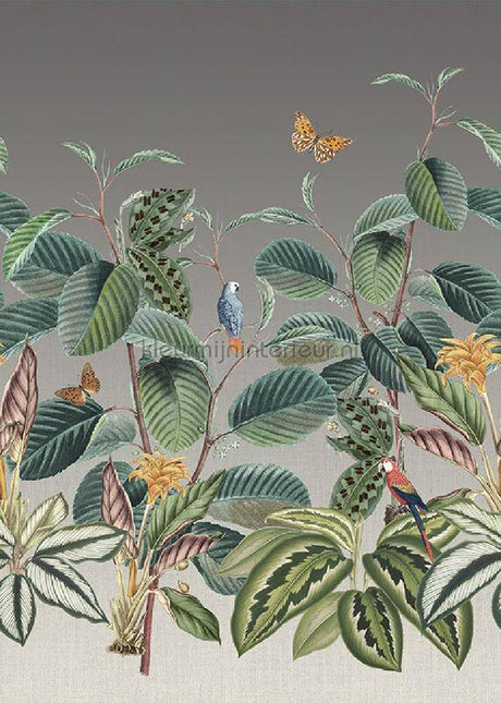 Behang Expresse Treasures of Nature TD4282 | Bestellen bij https://www.kleurmijninterieur.nl/