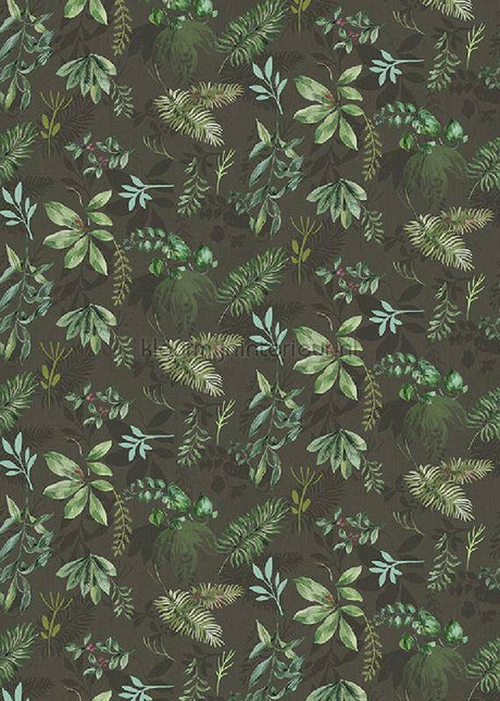 Behang Expresse Treasures of Nature TD4283 | Bestellen bij https://www.kleurmijninterieur.nl/