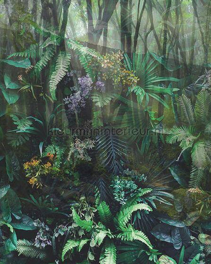 Behang Expresse Treasures of Nature TD4287 | Bestellen bij https://www.kleurmijninterieur.nl/