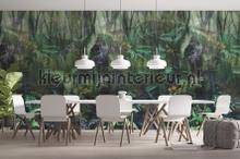 Behang Expresse Treasures of Nature TD4287 | Bestellen bij https://www.kleurmijninterieur.nl/