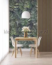 Behang Expresse Treasures of Nature TD4288 | Bestellen bij https://www.kleurmijninterieur.nl/