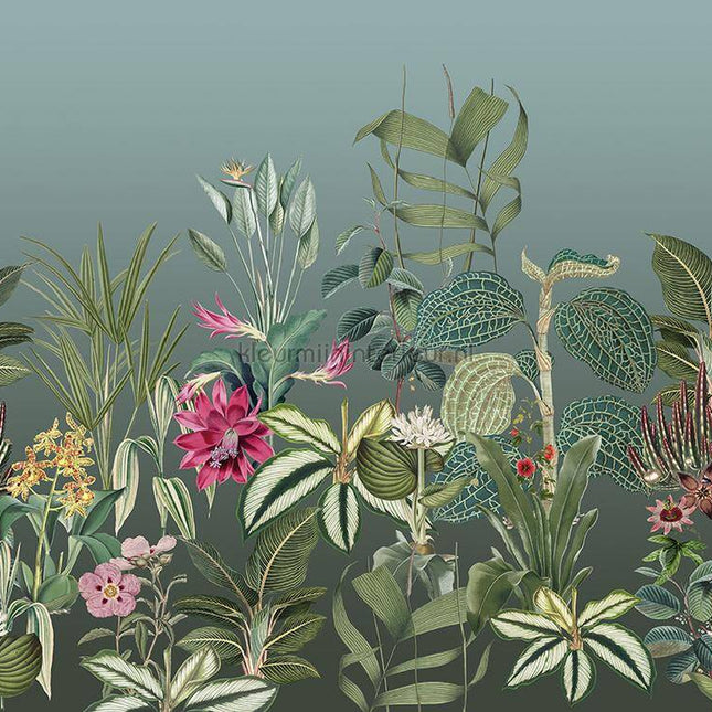 Behang Expresse Treasures of Nature TD4290 | Bestellen bij https://www.kleurmijninterieur.nl/