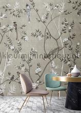 AS Creation Walls by Patel 3 DD122000 | Bestellen bij https://www.kleurmijninterieur.nl/
