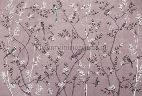 AS Creation Walls by Patel 3 DD122004 | Bestellen bij https://www.kleurmijninterieur.nl/