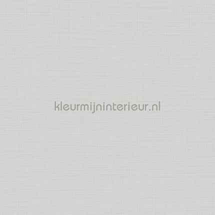Hookedonwalls New Wave 24810 | Bestellen bij https://www.kleurmijninterieur.nl/