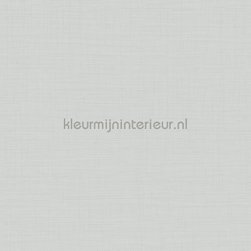 Hookedonwalls New Wave 24810 | Bestellen bij https://www.kleurmijninterieur.nl/