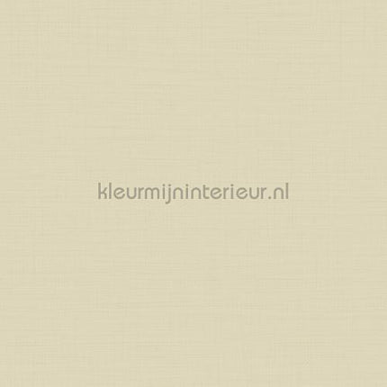 Hookedonwalls New Wave 24811 | Bestellen bij https://www.kleurmijninterieur.nl/